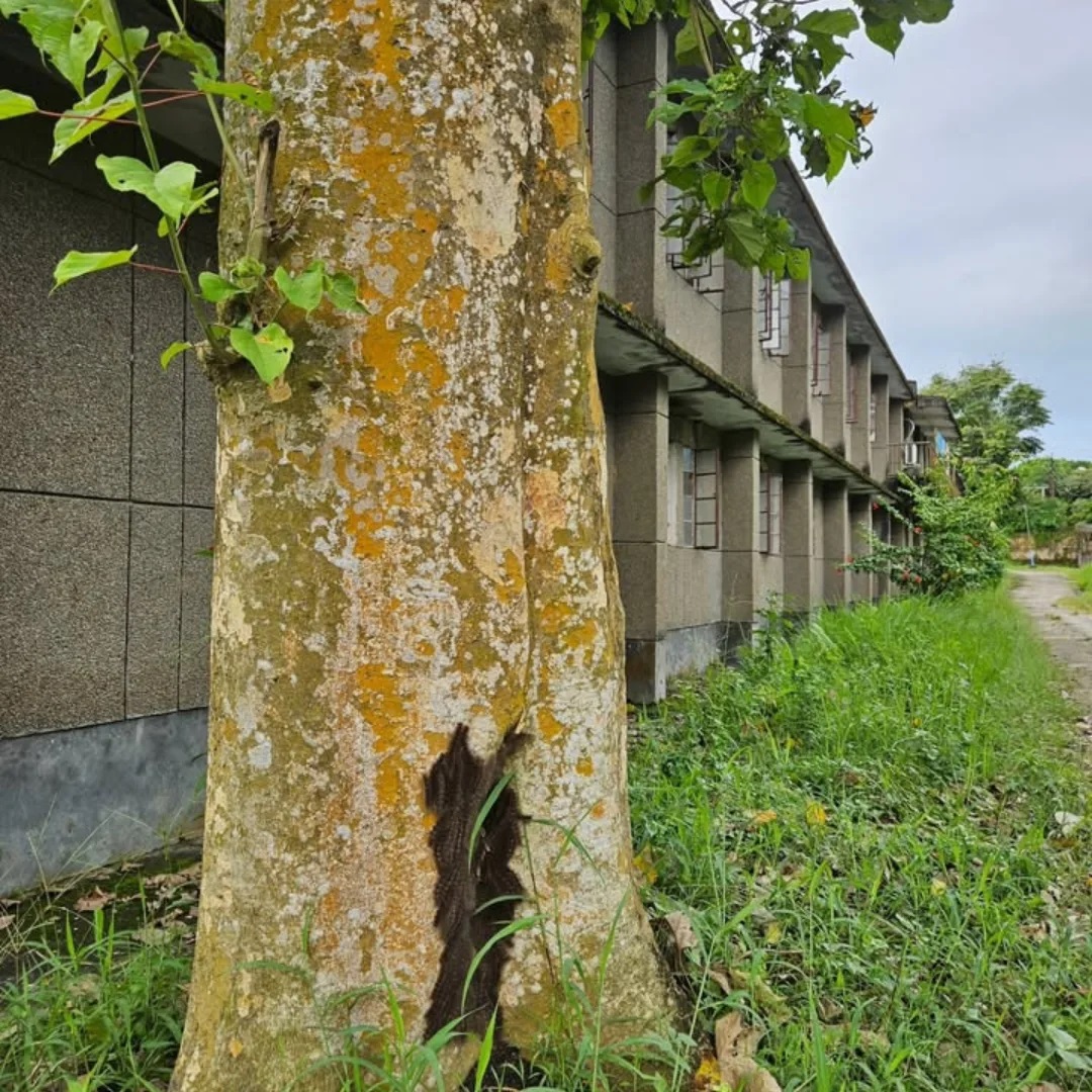 JNV Hailakandi